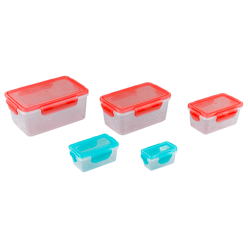 5-Piece Set Of Square Pattern Lunch Box