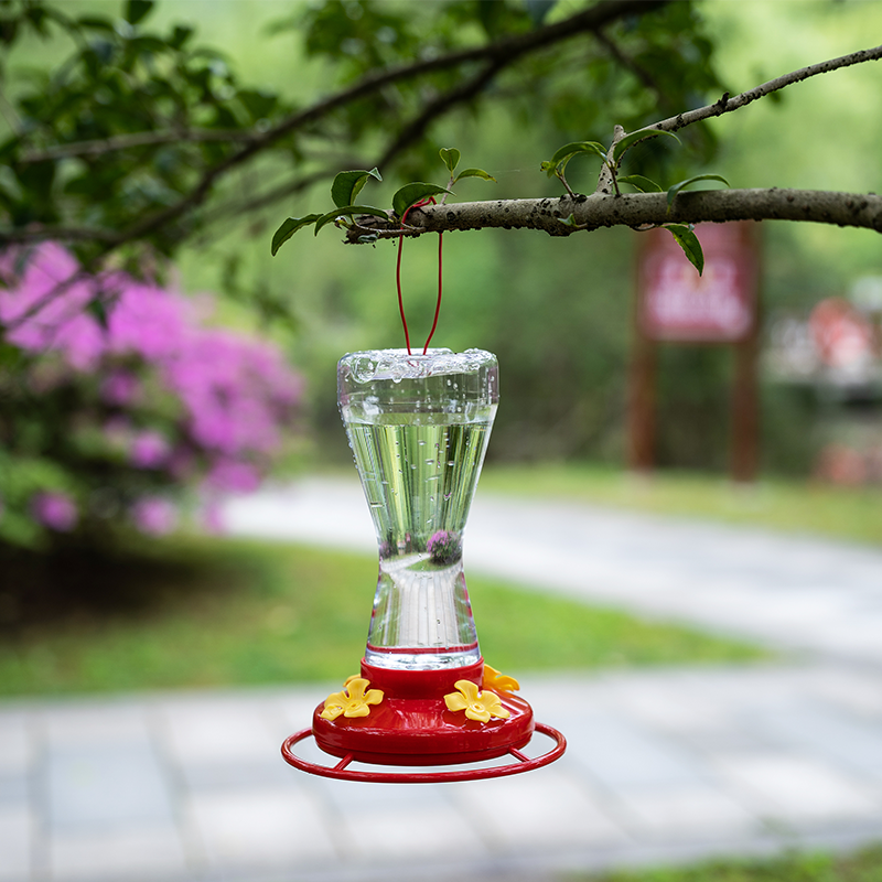 Humming Bird Feeder 