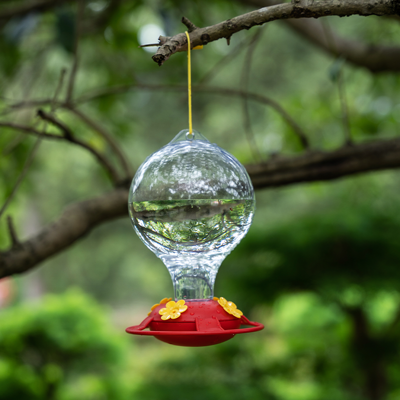 Hanging Humming Bird Water Feeder