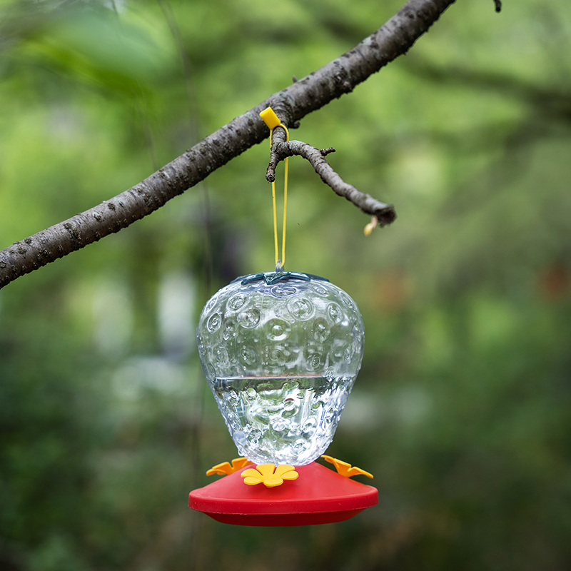 Strawberry ShapedHummingbird Hanging Bird Feeder