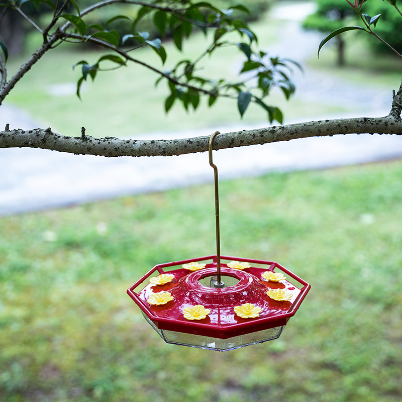 Hanging Humming Bird Water Feeder