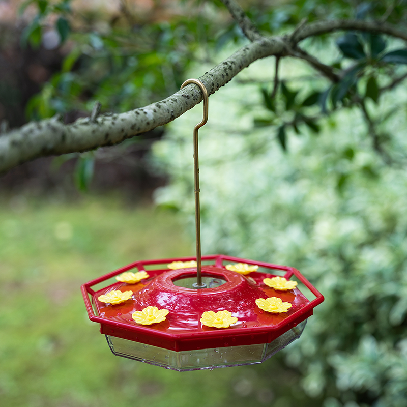 Hanging Humming Bird Water Feeder