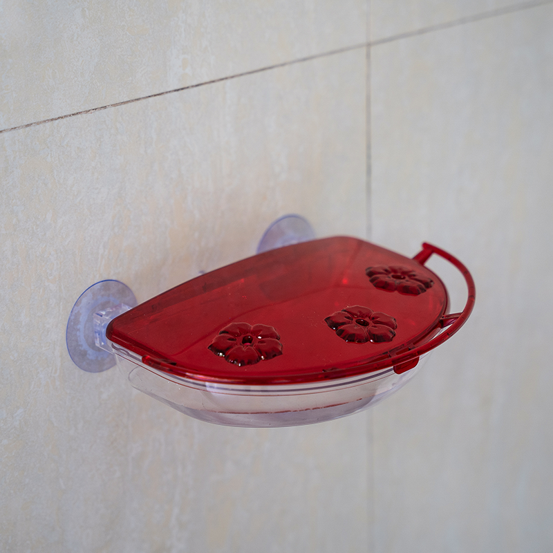 Wall Mounted Bowls Humming Bird Water Feeder